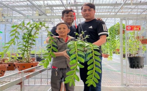 Nguyễn Đăng Ghin và câu chuyện khởi nghiệp bằng hoa lan